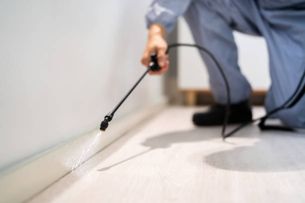 Bed Bug Pre-Treatment Preparation Assessment in Riverside
