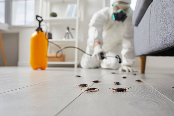Post-Treatment Bed Bug Interceptor Monitoring in Riverside