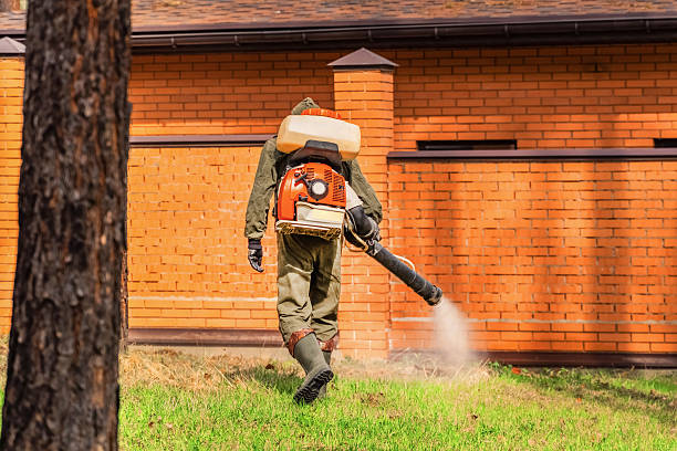 Bed Bug Clearance Verification and Documentation in Riverside